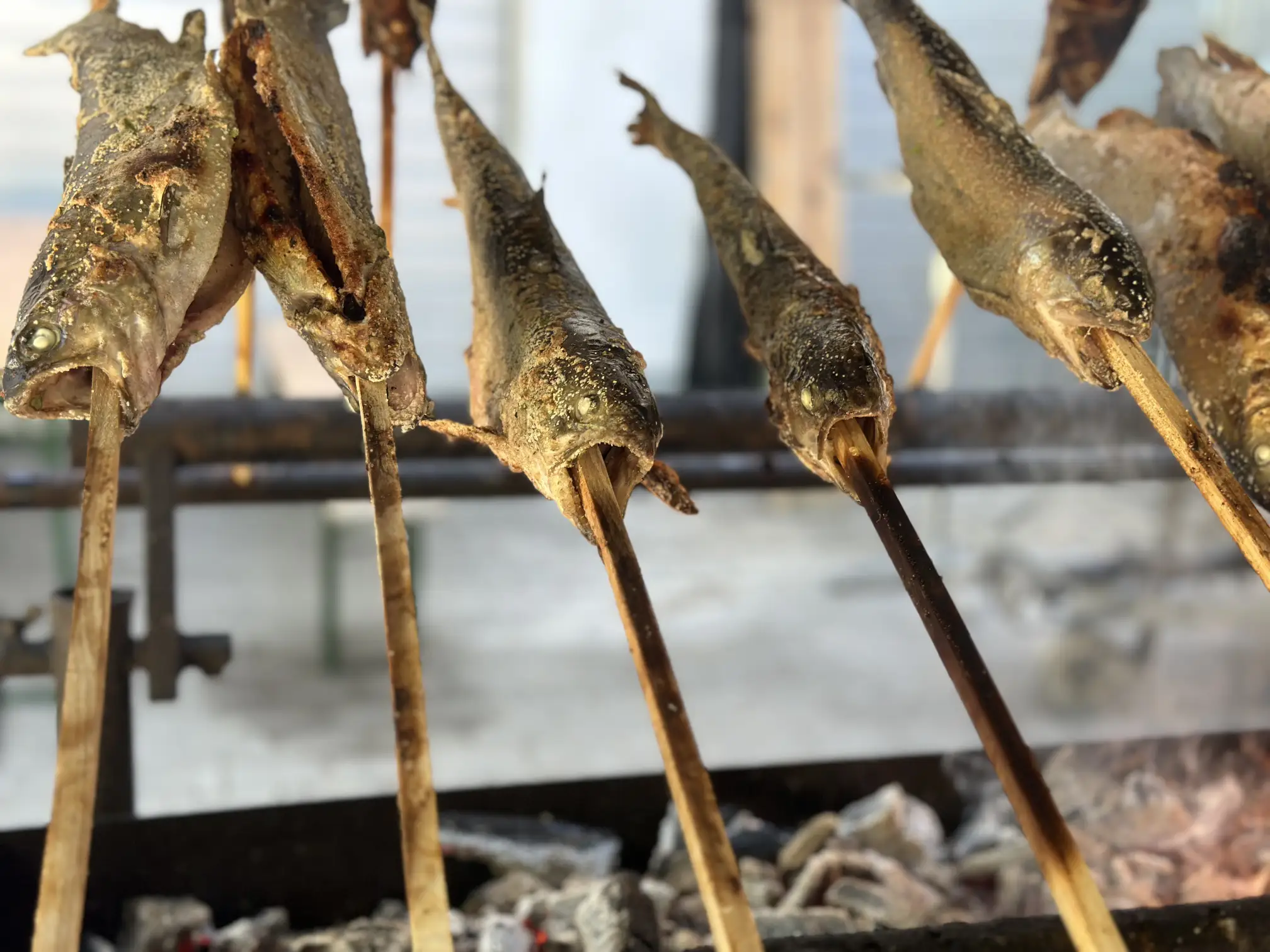 Steckerlfisch frisch auf Holzstecken vorbereitet